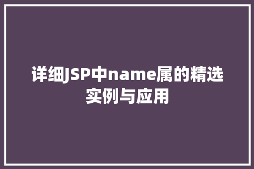详细JSP中name属的精选实例与应用
