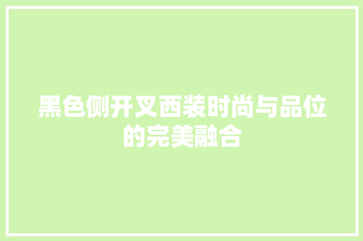 黑色侧开叉西装时尚与品位的完美融合