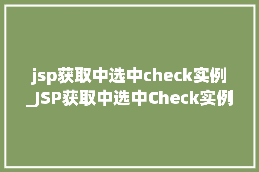 jsp获取中选中check实例_JSP获取中选中Check实例方法与方法