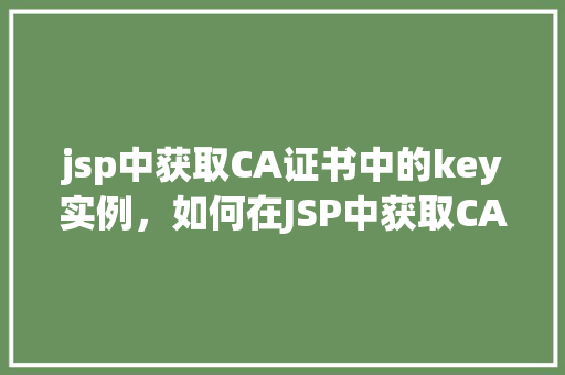 jsp中获取CA证书中的key实例，如何在JSP中获取CA证书中的Key实例