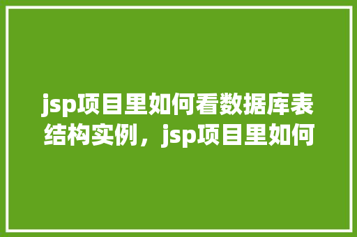 jsp项目里如何看数据库表结构实例，jsp项目里如何查看数据库表结构实例详解