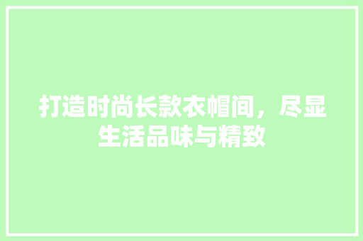 打造时尚长款衣帽间，尽显生活品味与精致
