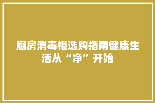 厨房消毒柜选购指南健康生活从“净”开始