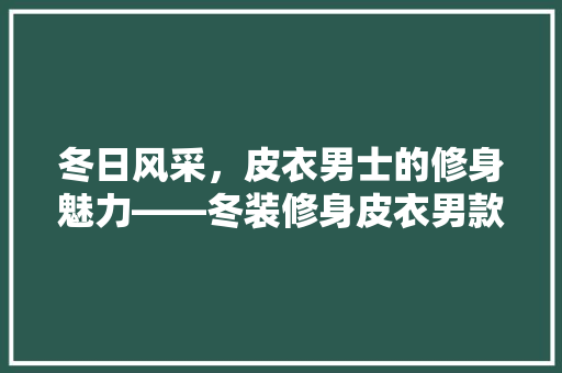 冬日风采，皮衣男士的修身魅力——冬装修身皮衣男款图片赏析