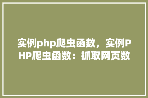 实例php爬虫函数，实例PHP爬虫函数：抓取网页数据的实战方法