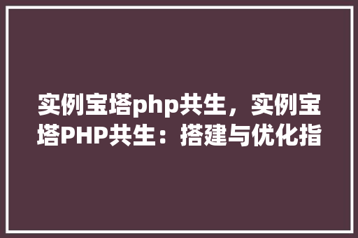 实例宝塔php共生，实例宝塔PHP共生：搭建与优化指南