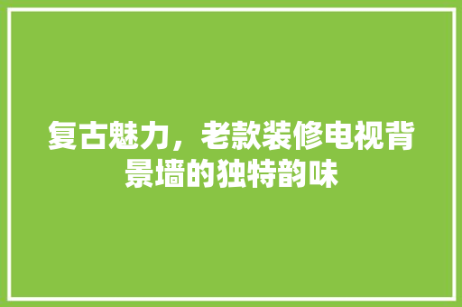 复古魅力，老款装修电视背景墙的独特韵味