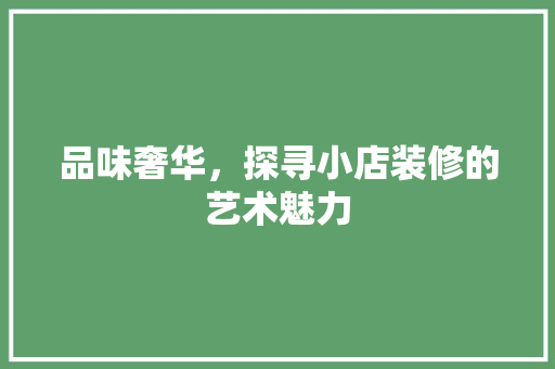 品味奢华，探寻小店装修的艺术魅力