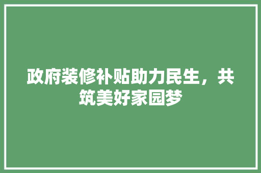政府装修补贴助力民生，共筑美好家园梦  第1张