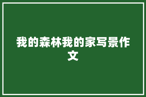 燃气灶选购指南为您打造温馨舒适的厨房空间