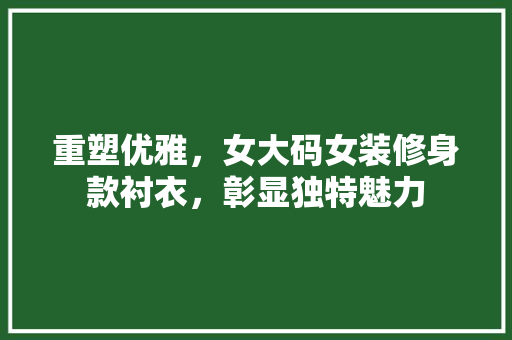 重塑优雅，女大码女装修身款衬衣，彰显独特魅力  第1张