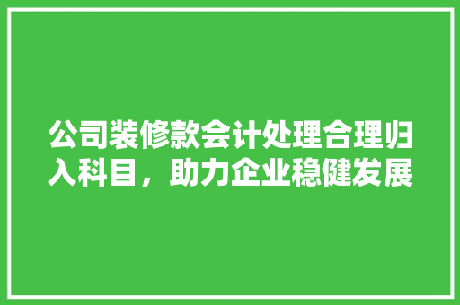 公司装修款会计处理合理归入科目，助力企业稳健发展