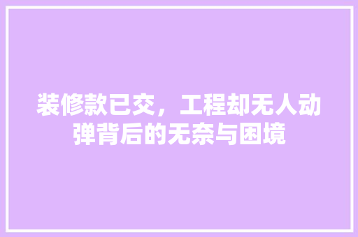 装修款已交，工程却无人动弹背后的无奈与困境