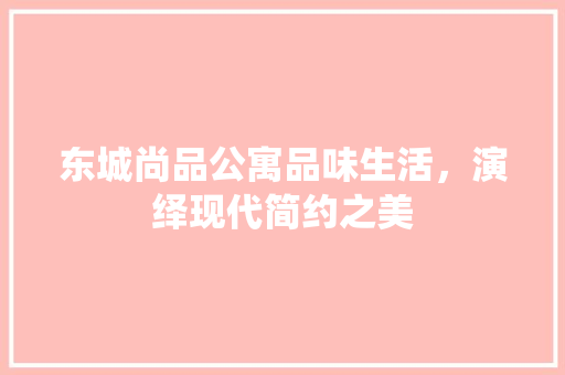 东城尚品公寓品味生活，演绎现代简约之美  第1张