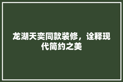 龙湖天奕同款装修，诠释现代简约之美