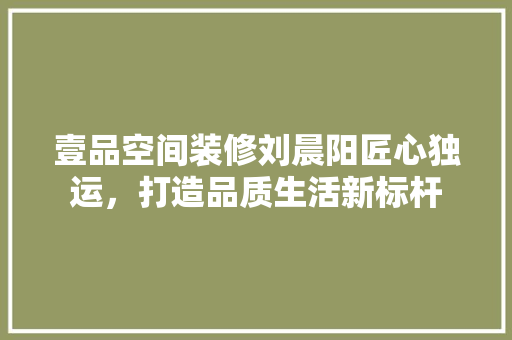 壹品空间装修刘晨阳匠心独运，打造品质生活新标杆