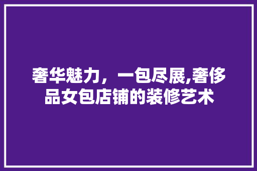 奢华魅力，一包尽展,奢侈品女包店铺的装修艺术