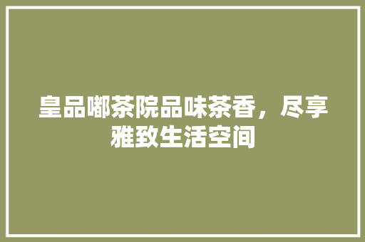 皇品嘟茶院品味茶香，尽享雅致生活空间