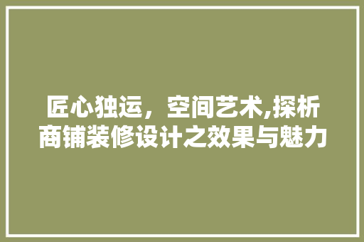 匠心独运，空间艺术,探析商铺装修设计之效果与魅力