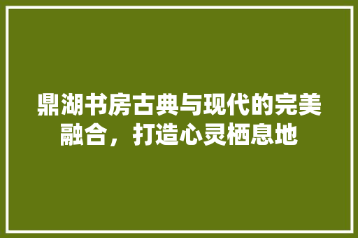 鼎湖书房古典与现代的完美融合，打造心灵栖息地