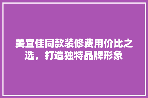 美宜佳同款装修费用价比之选，打造独特品牌形象  第1张