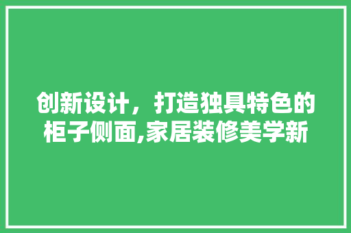 创新设计，打造独具特色的柜子侧面,家居装修美学新篇章  第1张