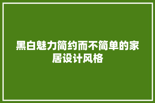 黑白魅力简约而不简单的家居设计风格