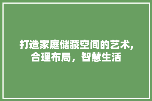 打造家庭储藏空间的艺术,合理布局，智慧生活