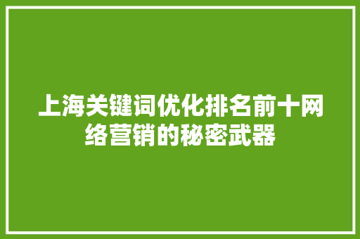 上海关键词优化排名前十网络营销的秘密武器