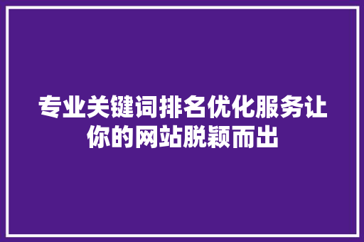 专业关键词排名优化服务让你的网站脱颖而出