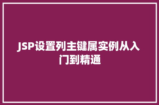 JSP设置列主键属实例从入门到精通